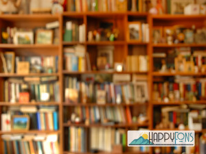 Фотофон виниловый «Книжные полки»
